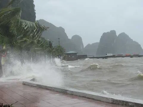Dự báo thời tiết 14/8: Bão số 4 sắp đổ bộ vào Quảng Ninh – Nam Định, cảnh báo lũ quét